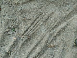 Mitti on Earth surface