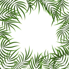 Realistic Detailed 3d Green Tropical Palm Tree Frame. Vector