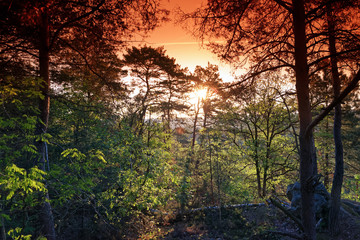 25 buttes hiking trail in the French Gâtinais regional nature park