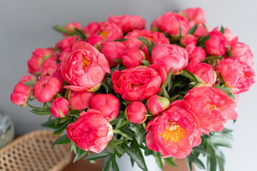 Coral peonies in a metal vase. Beautiful peony flower for catalog or online store. Floral shop concept . Beautiful fresh cut bouquet. Flowers delivery