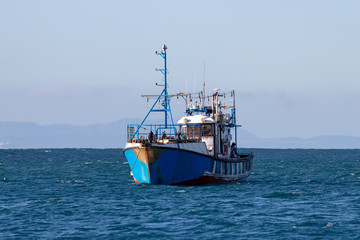Squid fishing boat at sea