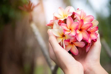 Foto op Plexiglas Romantic close up portrait asian charming  girl in pink dree smells flowers on the morning garden, natural daylight. Bouquet of mixed plumeria © MT.PHOTOSTOCK