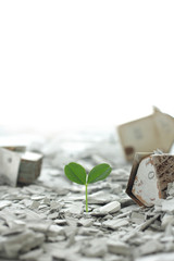 災害から月日が経ち瓦礫の中から緑や花が再生した街と人々