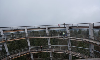 Baumwipfelpfad in Bad Wildbad in Deutschland