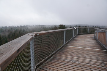 Baumwipfelpfad in bad wildbad im Schwarzwald 
