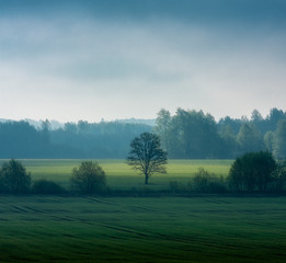 Fototapeta premium beautiful spring landscape view