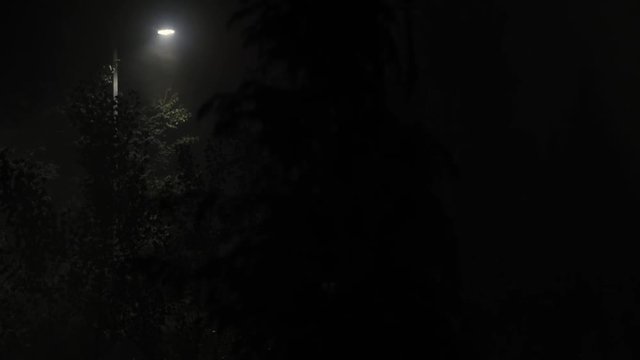 Cloudy Windy Night