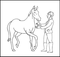 Instructions for guests stables - how to properly behave with a horse. Linear illustration in cartoon style.