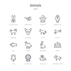 set of 16 animals concept vector line icons such as elizabethan collar, mouse toy, hamster ball, louse, kennel, sitting rabbit, humps, carp. 64x64 thin stroke icons