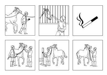 Instructions for guests stables - how to properly behave with a horse. Linear illustration in cartoon style.