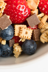 Healthy muesli or cereal breakfast bowl with granola made of toasted rolled oats, organic honey, milk chocolate chips and tiny graham cracker cookies served with fresh strawberries and blueberries