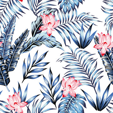 Blue Tropical Leaves Pink Flowers White Background