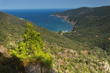 Panorama of coastline near Mamba Beach Ampelos at Sithonia peninsula, Chalkidiki, Central Macedonia, Greece