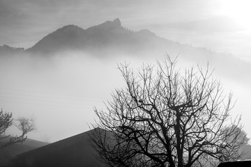 black and white landscape with foggy mountains view. swinzerland. alps.