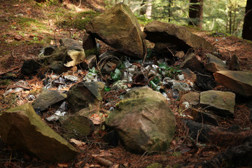 Garbage dump in forest, environmental pollution by plastic.