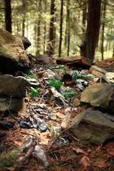 Garbage dump in forest, environmental pollution by plastic.