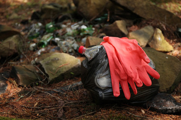 Garbage dump in forest, environmental pollution by plastic.
