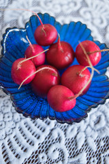 Fresh ripe radishes in a blue glass salad bowl on a beautiful white tablecloth