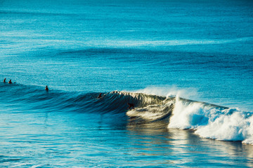 Fototapeta premium Surfers and Waves at Bells Beach, Australia