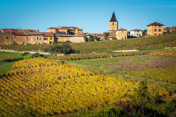 Naklejka premium Bagnols : village du Beaujolais en automne