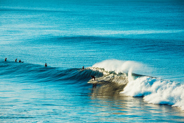Surfers and Waves at Bells Beach, Australia