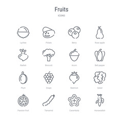 set of 16 fruits concept vector line icons such as horseradish, carambola, tamarind, passion fruit, salad, beetroot, grape, plum. 64x64 thin stroke icons
