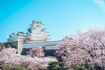 姫路城の桜 -Sakura- Cherry Blossoms and Himeji Castle