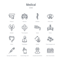 set of 16 medical concept vector line icons such as heart rate monitor, hospital placeholder, hurted finger with bandage, syringe with medicine, three hexagons cell, canine, esophagus, colon. 64x64