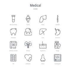 set of 16 medical concept vector line icons such as cardiogram, nose, antibiotic, pill, drugs, epidermis, kidney, medical records. 64x64 thin stroke icons