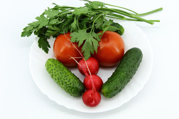 Two tomatoes, two cucumbers, three radishes, a bunch of parsley on a plate. White background