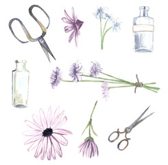 the layout of objects, watercolor vintage scissors, purple flowers, leaves, watercolor jars, bottles