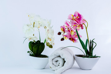 Still for spa treatments, body care