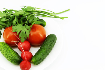 Parsley, tomatoes, cucumbers, radish on white background