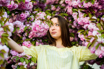 Fototapeta premium Spring holidays. natural summer beauty. girl in cherry flower. Sakura tree blooming. blossom smell, allergy. skincare and spa. Natural cosmetics for skin. woman in spring flower bloom