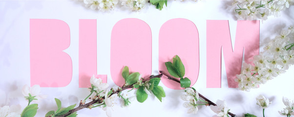 Inscription blooming on a pink background with a flowering branch