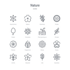 set of 16 nature concept vector line icons such as nymphea, oak, oleander, orchid, pansy, peony, peppermint, petunia. 64x64 thin stroke icons