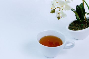 Tee cup and orchid