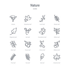 set of 16 nature concept vector line icons such as chestnut leaf, oak leaf, yew leaf, pine bilberry cherry pecan briar 64x64 thin stroke icons