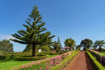 Fototapeta premium A beautiful landscape from the Sao Miguel island of Azores in Portugal 