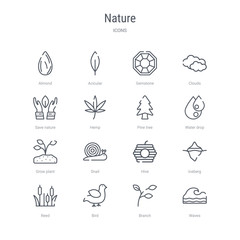 set of 16 nature concept vector line icons such as waves, branch, bird, reed, iceberg, hive, snail, grow plant. 64x64 thin stroke icons