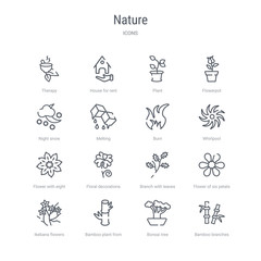 set of 16 nature concept vector line icons such as bamboo branches, bonsai tree, bamboo plant from japan, ikebana flowers, flower of six petals from japan, branch with leaves, floral decorations,