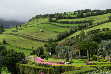 Fototapeta na wymiar A beautiful landscape from the Sao Miguel island of Azores in Portugal 