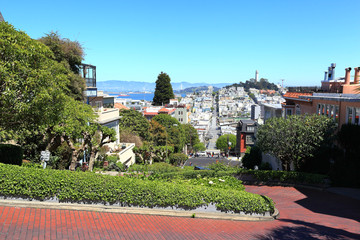 Fototapeta premium The streets of San Francisco: Looking down the famously crooked Lombard Street towards Telegraph hill.