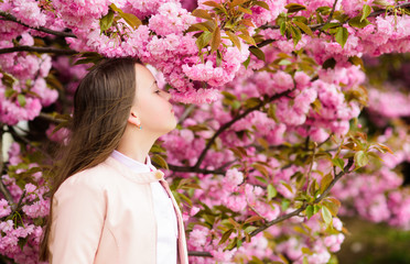 Fototapeta premium Girl tourist posing near sakura. Tender bloom. Child on pink flowers of sakura tree background. Girl enjoying cherry blossom or sakura. Cute child enjoy nature on spring day. Aromatic blossom concept