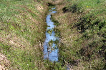 Narrow clear water stream flowing in local forest surrounded with uncut partially dried grass on warm sunny spring day
