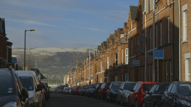 Steady, exterior, wide shot of homes and parked cars lined down a road. Large, snowy, mountainous hill in the background.