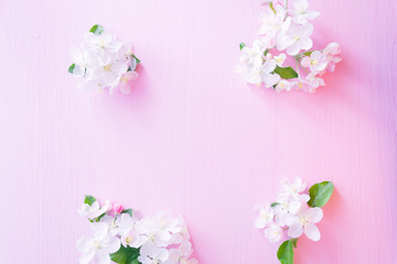 Fototapeta na wymiar Flowering apple tree branches on a pink wooden background