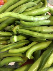 fèves du jardin