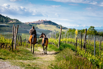 Man on a horse rides among beatiful Barolo vineyards with La Morra village. Trekking pathway....