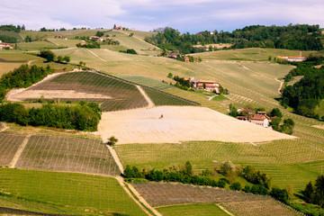 Langhe hills vineyards landscape. Viticulture in Barolo, Piedmont, Italy, Unesco heritage. Barolo, Nebbiolo, Dolcetto, Barbaresco red wine.